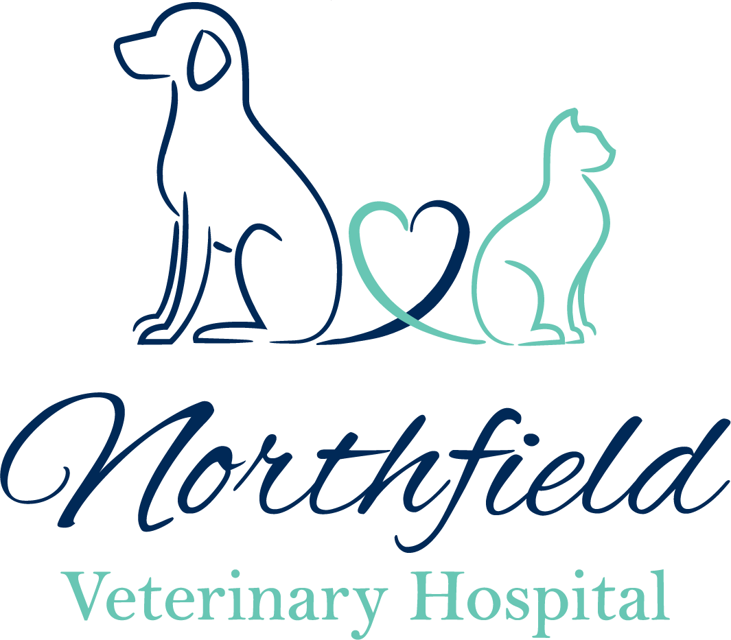 Northfield Veterinary Hospital